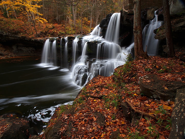 autumn, forest, leaves, river, waterfall, cascade, West Virginia, Brush Creek Falls, HD wallpaper