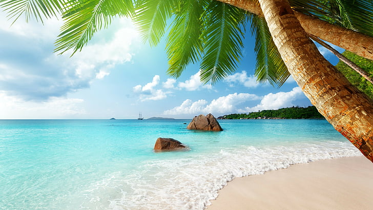 foto del banco del lado del mar, playa, 5k, fondo de pantalla 4k, palma.Oceano, Fondo de pantalla HD
