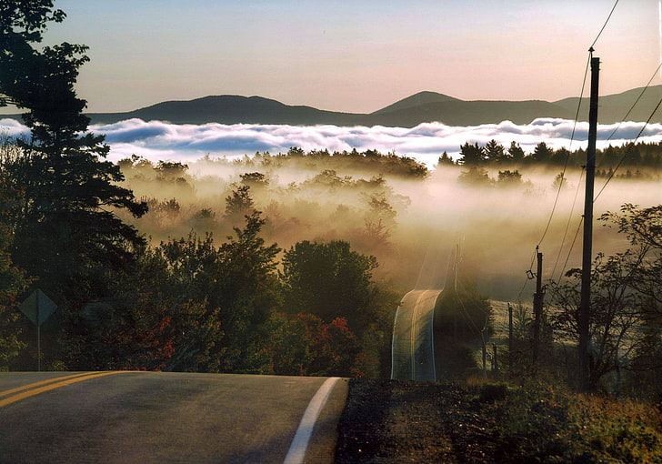 сив бетонен път, пейзаж, път, гора, мъгла, хълмове, HD тапет
