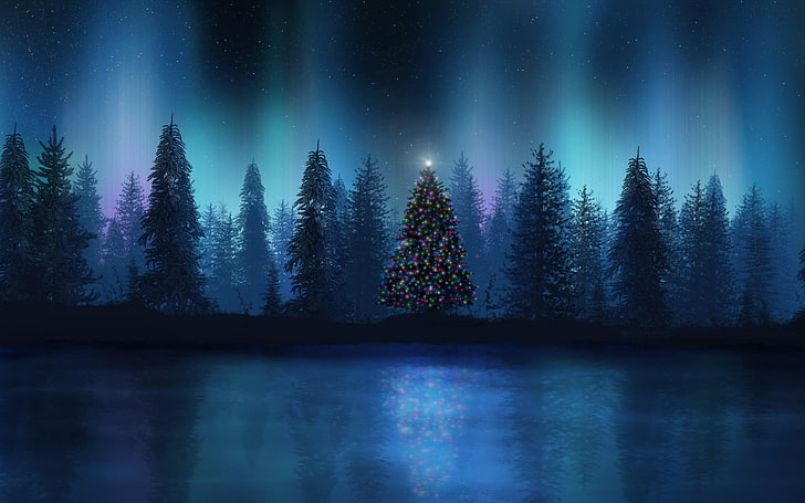 grüne Kiefern, Landschaft, Weihnachtsbaum, Aurorae, Wald, Weihnachten, HD-Hintergrundbild
