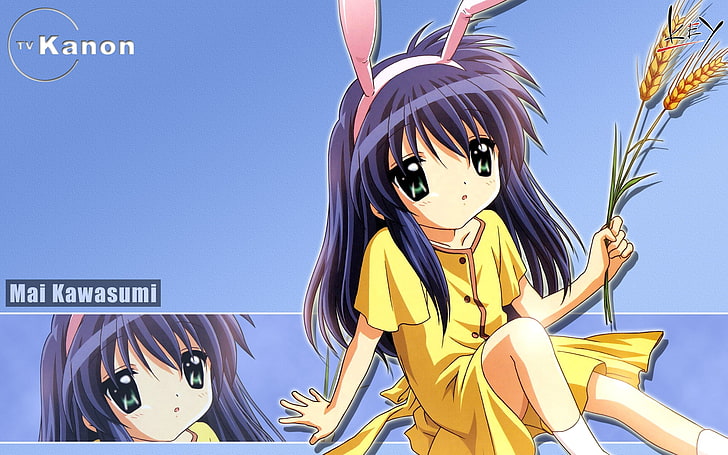 Mai Kawasumi, Kanon, Tsukimiya Ayu, Mädchen, Ohren, Roggenspitze, HD-Hintergrundbild