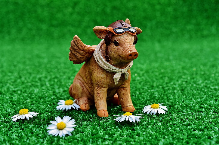 figurka brązowej świni, świnia, pilot, statuetka, Tapety HD