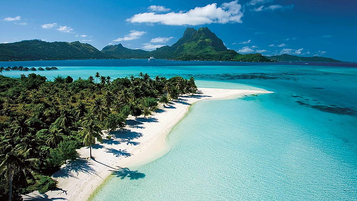 الشاطئ في تاهيتي ، بولينيزيا الفرنسية ، أشجار النخيل الاستوائية الخضراء ، المياه الزرقاء الصافية، خلفية HD