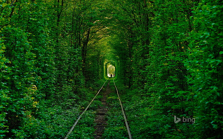 серый металлический поезд железная дорога, дорога, лес, деревья, рельсы, силуэт, Украина, тоннель любви, Клевань, HD обои