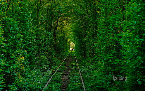 gray metal train rail, road, forest, trees, rails, silhouette, Ukraine, tunnel of love, Klevan, HD wallpaper HD wallpaper