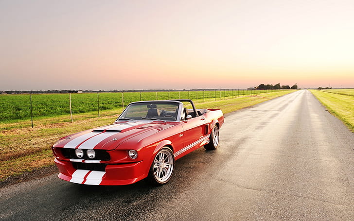 Piękny Shelby GT 500 Convertible, shelby, shelby gt, Tapety HD