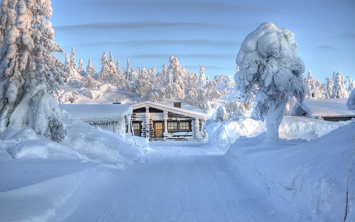 snow covered cabin, wood, snow, snowdrifts, tree, attire, house, winter, windows, HD wallpaper
