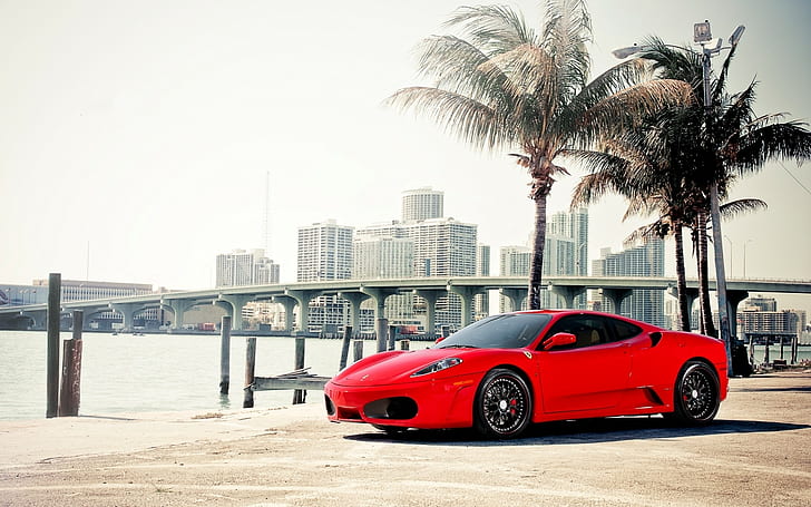 Ferrari F430 Beach Palmiye Ağaçları HD, arabalar, ağaçlar, sahil, ferrari, palmiye, f430, HD masaüstü duvar kağıdı