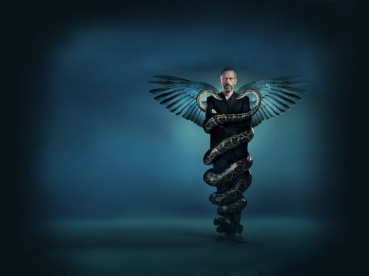 tapeta węża wokół skrzydeł człowieka, House MD, węże, Hugh Laurie, Tapety HD