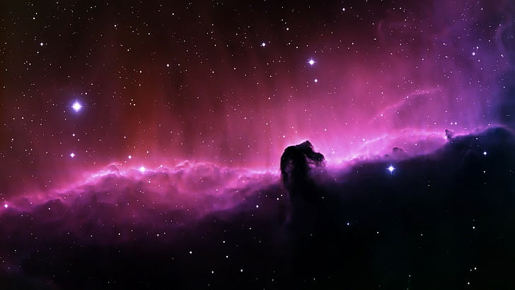 space horsehead nebula, HD wallpaper