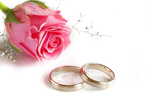 two gold-colored rings, rose, ring, wedding, HD wallpaper HD wallpaper