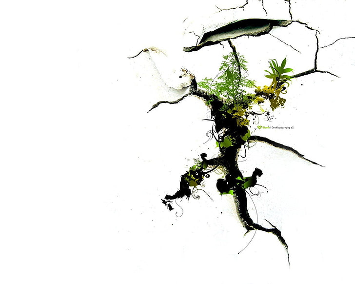 التوضيح نبات الورقة الخضراء الحياة الجذور براعم العناد متصدع، خلفية HD