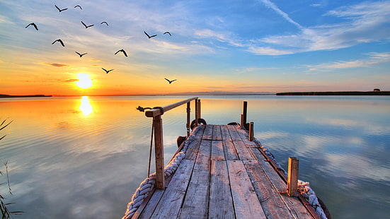 water, sky, horizon, sunrise, pier, calm, lake, birds, morning, dock, cloud, reflection, dawn, summer, shore, seashore, HD wallpaper HD wallpaper