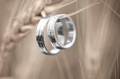 set di fedi nuziali color argento, anello, platino, coppia, Sfondo HD HD wallpaper