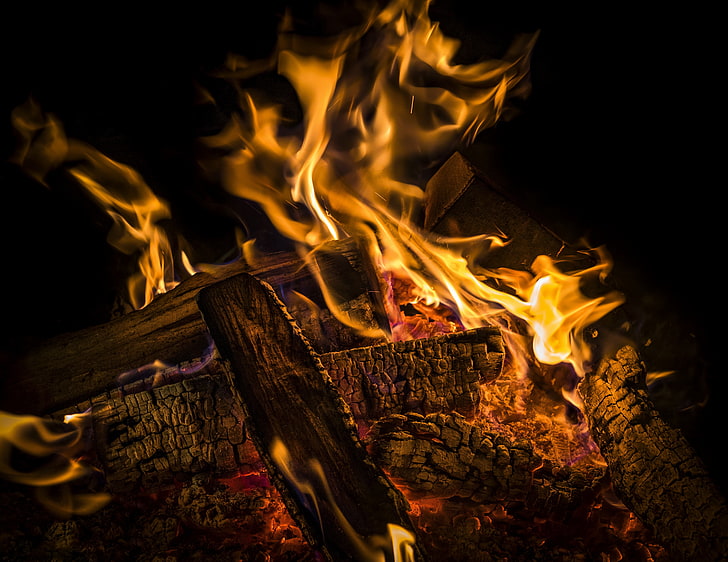 illustration de feu, feu, bois de chauffage, charbons, cendres, Fond d'écran HD