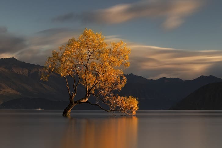 autumn, water, mountains, nature, lake, tree, New Zealand, HD wallpaper