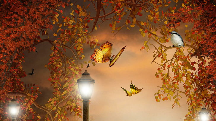 Falls Fantastic Lighting, lights, orange, lamps, fall, bright, bird, gold,  HD wallpaper | Wallpaperbetter