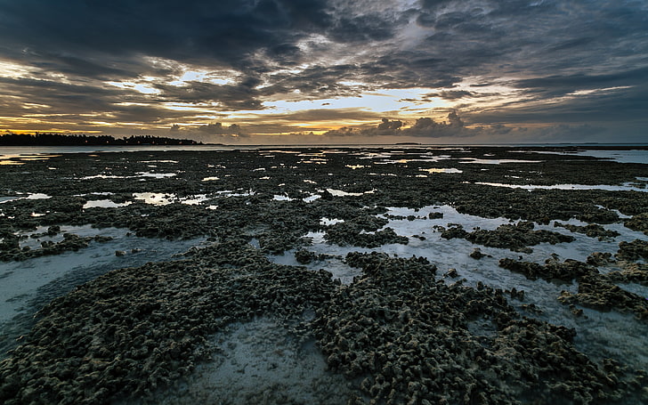 Coral Sunset, brun, nuageux, côtier, gris, îles, kihaadmaldives, maldives, nature, photographie, paysage marin, ciel, coucher de soleil, tropical, Fond d'écran HD