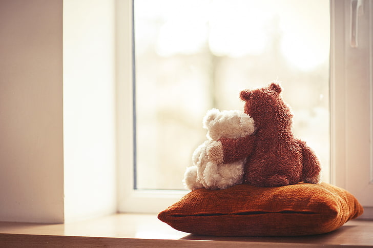 brown and white bear plush toys, love, toy, bear, window, pair, pillow, friends, couple, cute, Teddy, HD wallpaper