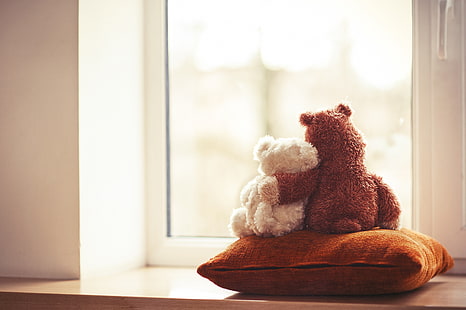 oso de peluche marrón y blanco, amor, juguete, oso, ventana, par, almohada, amigos, pareja, lindo, peluche, Fondo de pantalla HD HD wallpaper