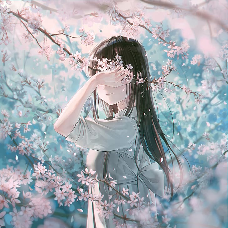 Hoshi, cherry blossom, flowers, long hair, original characters, anime, anime  girls, HD wallpaper | Wallpaperbetter