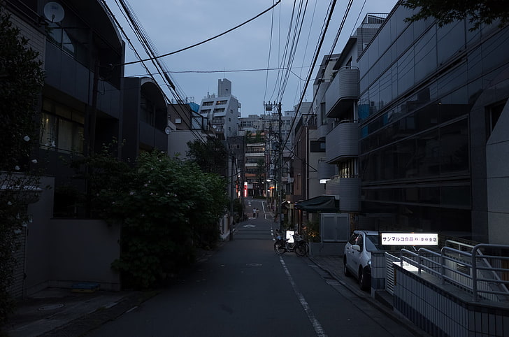 tanaman berdaun hijau, Jepang, jalan, lampu, gelap, lanskap kota, perkotaan, Wallpaper HD