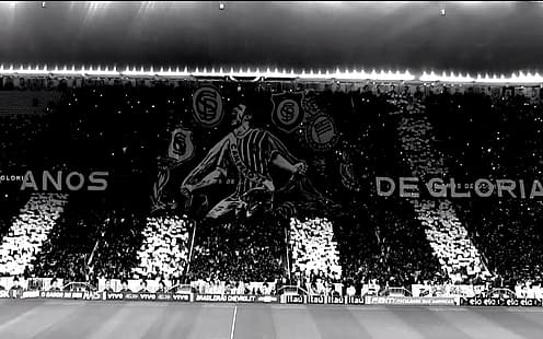 Corinthians, Arena Corinthians, Fotboll, fotboll, fans, Torcida, HD tapet HD wallpaper