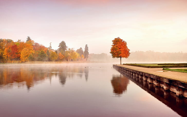nature, landscape, fall, trees, water, calm, reflection, pier, forest, mist, lake, HD wallpaper