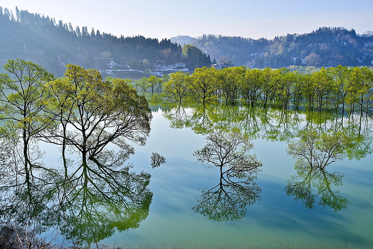 дървета, езеро, отражение, Япония, Ямагата, Ийде, Неговата Ширакава, Иида, езерото Ширакава, HD тапет