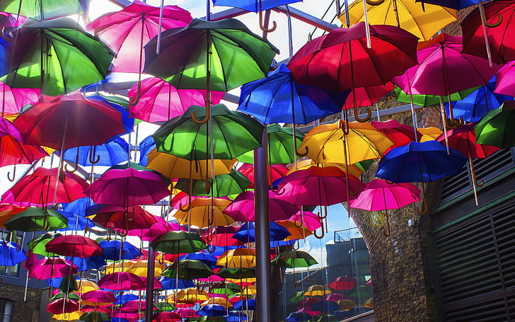 Otwarte kolorowe parasole, parasol, Tapety HD