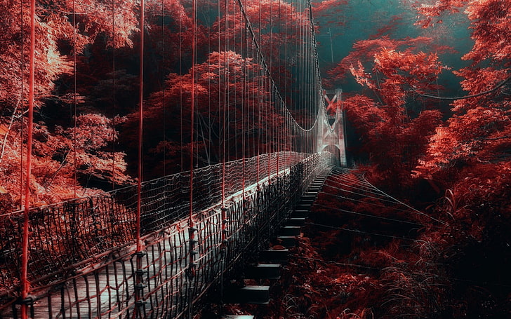 nature, paysage, rouge, forêt, pont, brouillard, arbres, passerelle, Fond d'écran HD