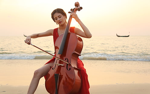 Amyra Dastur 2016, brun cello, Bollywood kändisar, Kvinnliga kändisar, bollywood, 2016, amyra dastur, HD tapet HD wallpaper