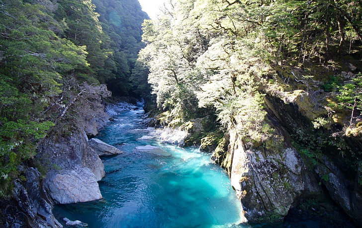 синя река, природа, вода, дървета, река, гора, HD тапет