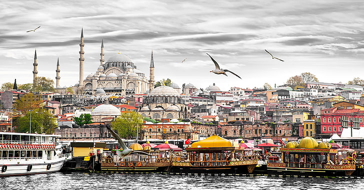 stadsskalillustration, måsar, hem, båtar, torn, Istanbul, Turkiet, palats, bryggor, HD tapet