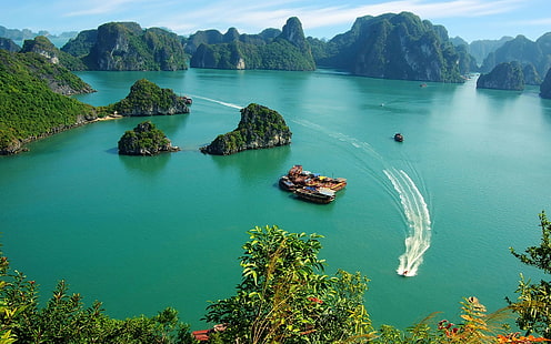 風景、自然、木、ハロン湾、ベトナム、 HDデスクトップの壁紙 HD wallpaper