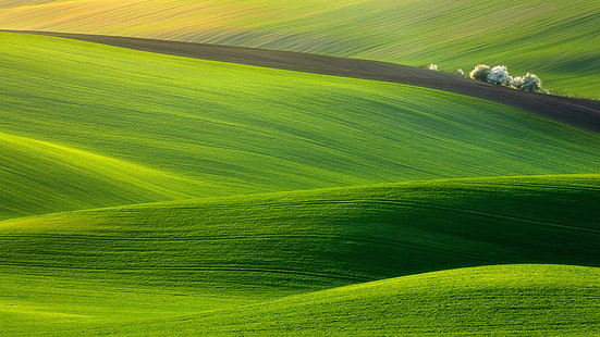 campo, alberi, fotografia, natura, verde, colline, paesaggio, Sfondo HD HD wallpaper