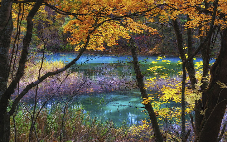 ブルーレイク五色沼福島日本秋風景風景自然超Hd壁紙デスクトップ用携帯電話とラップトップ3840×2400、 HDデスクトップの壁紙