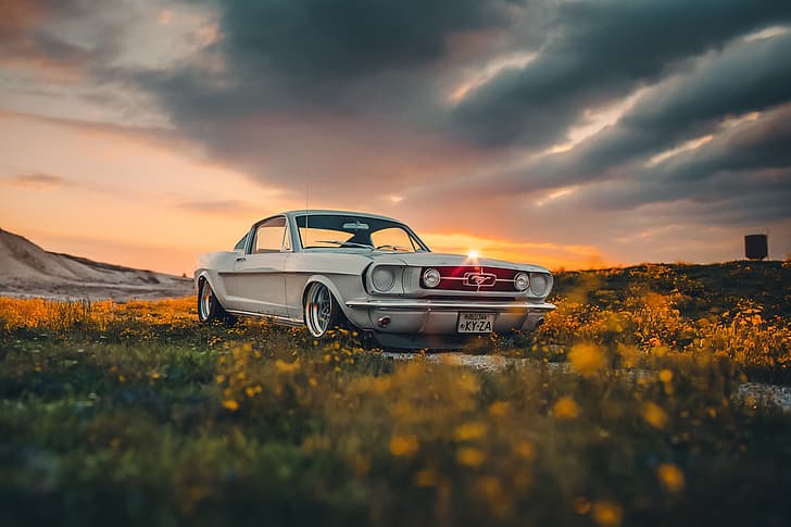 Mustang, Ford, Shelby, Car, Sun, GT350, HD wallpaper