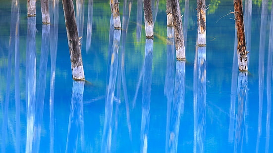Blue Pond di Biei Hokkaido Japan-2016 Bing Desktop .., Wallpaper HD HD wallpaper