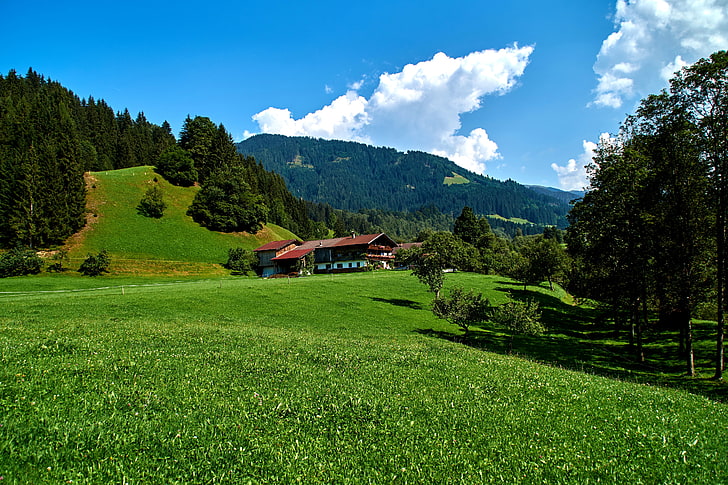 緑の葉の木、空、草、雲、木、山、家、フィールド、ドイツ、日当たりの良い、森林、牧草地、オーバーナウ、 HDデスクトップの壁紙