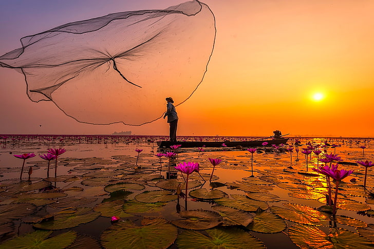 الزهور ، البحيرة ، الشبكة ، تايلاند ، الصيادين ، اللوتس الوردي، خلفية HD