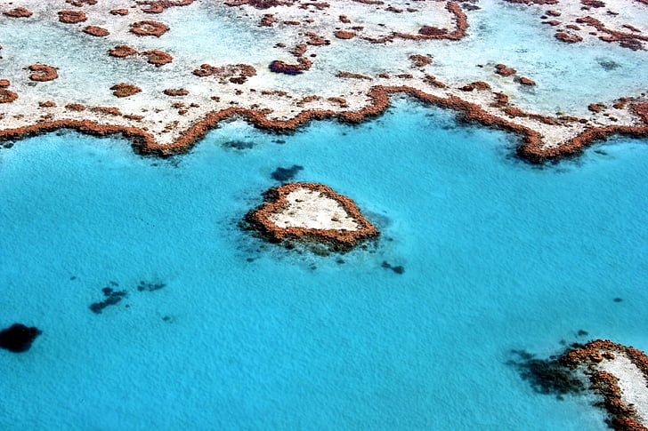island during daytime, Great Barrier Reef, Coral reef, Queensland, Australia, HD wallpaper