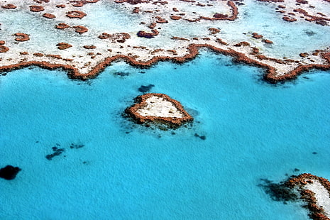 Куинсланд, Големият бариерен риф, Австралия, коралов риф, HD тапет HD wallpaper