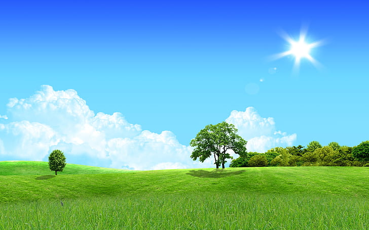 Lovely Landscape HD, sfondo del campo in erba, fantasia, paesaggio, incantevole, sognante, Sfondo HD