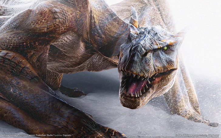 dinosaurio marrón, Monster Hunter, dragón, Tigrex, Fondo de pantalla HD