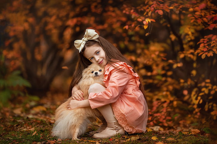 musim gugur, lihat, suasana hati, anjing, persahabatan, gadis, busur, teman, rambut panjang, bokeh, Spitz, Anastasia Barmina, Wallpaper HD