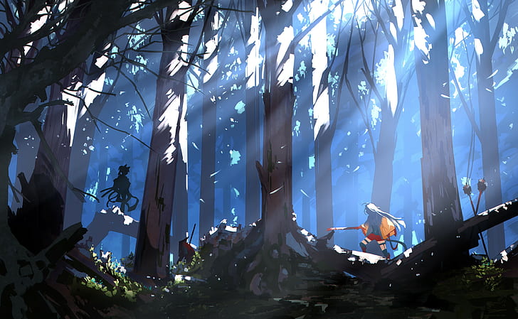 غابة ، صورة ظلية، خلفية HD