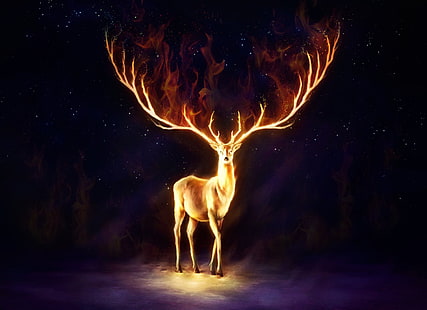 deer, fire, HD wallpaper HD wallpaper