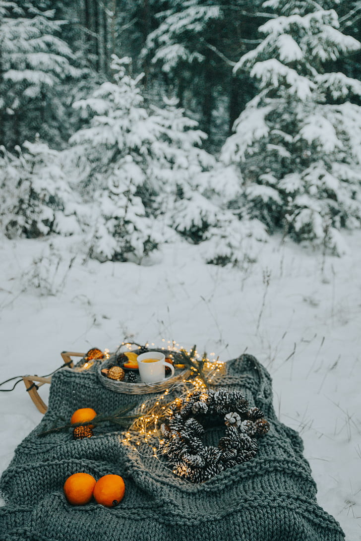 picnic, winter, christmas, comfort, mood, forest, snow, HD wallpaper