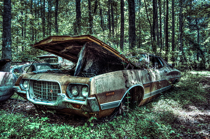 vintage brown vehicle, machine, forest, tree, Ford, old, car, USA, 1972, vehicle, old car, Gran Torino Speed, Gran Torino, GA, HD wallpaper